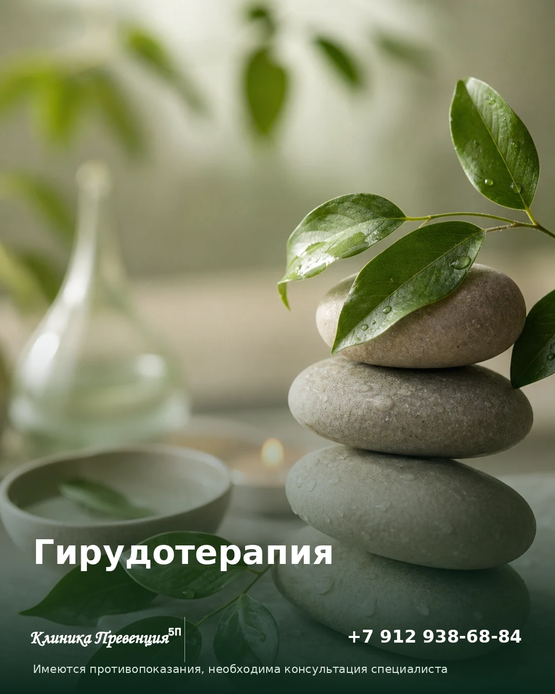 Гирудотерапия в Нижневартовске: безопасные процедуры в клинике «Превенция»